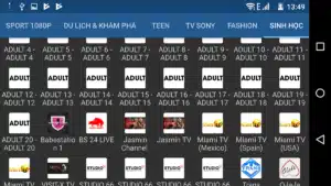 IPTV-XXX-Extreme