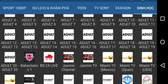 IPTV-XXX-Extreme
